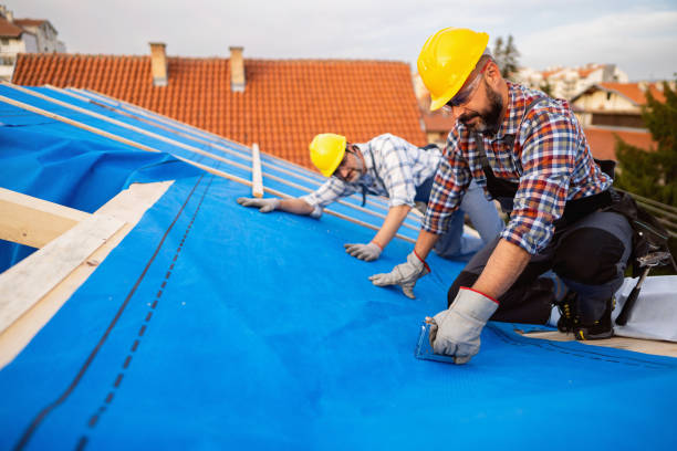 Best Roof Insulation Installation  in Springfield, CO